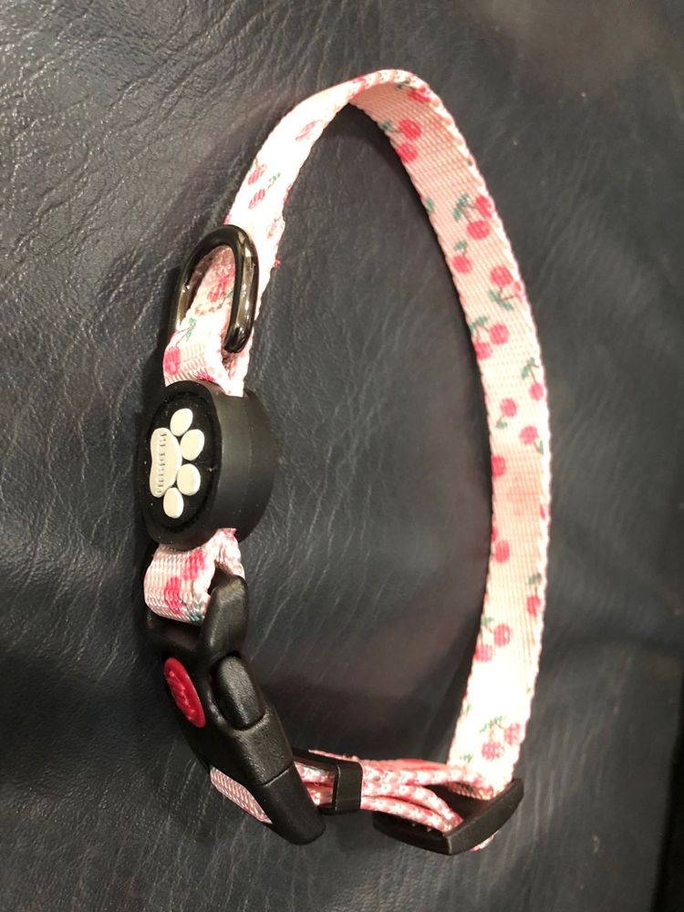 Cherry Print Dog Collar