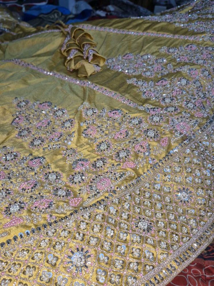 Embroidered Lehenga Choli