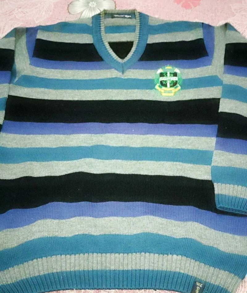Striped V-Neck Sweater