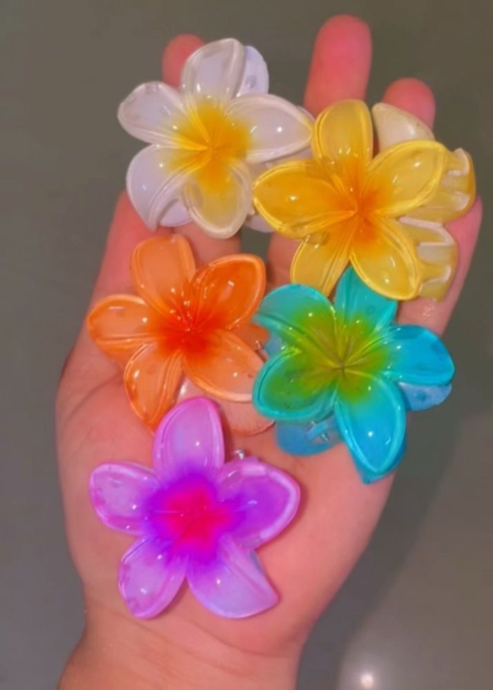 Freeshipping Trending Claw Clips