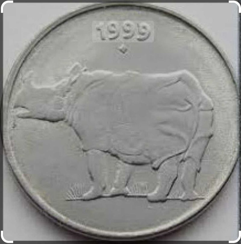 1 Piece Rhino Collectors Coins