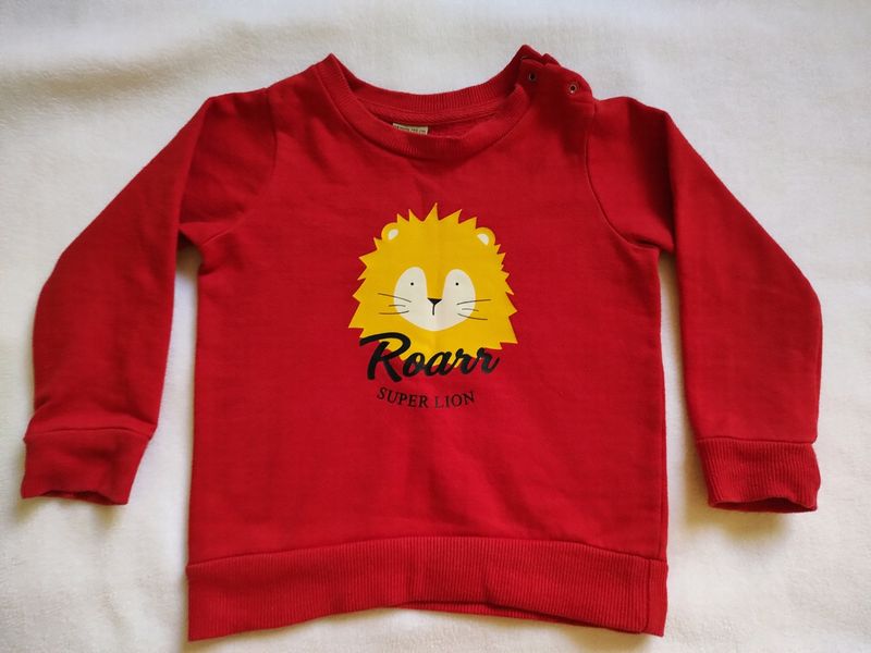 Winter Wear Sweatshirt