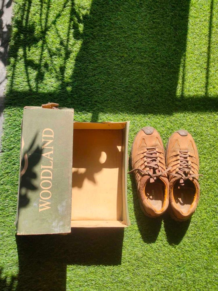 Woodland Casual Shoes Tan Color Size 9