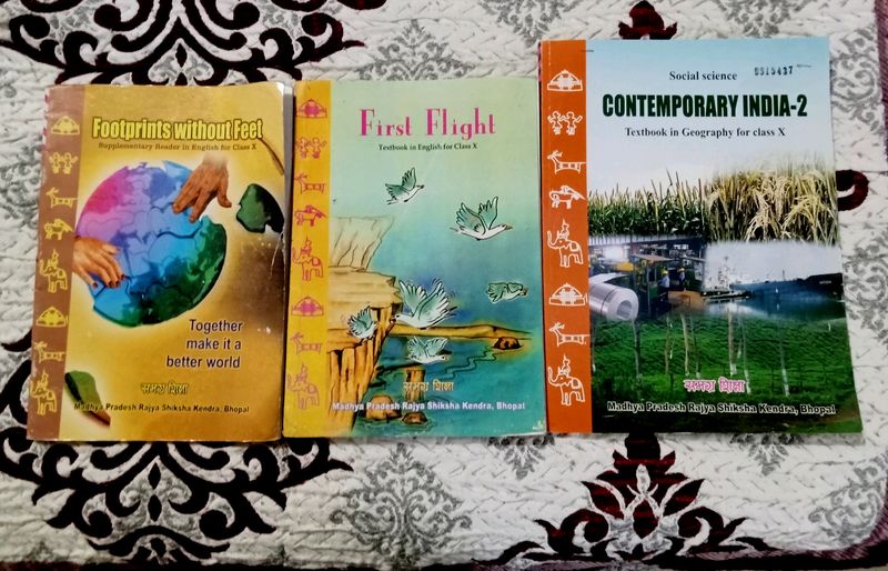 10th Class Mp Board 3 Books