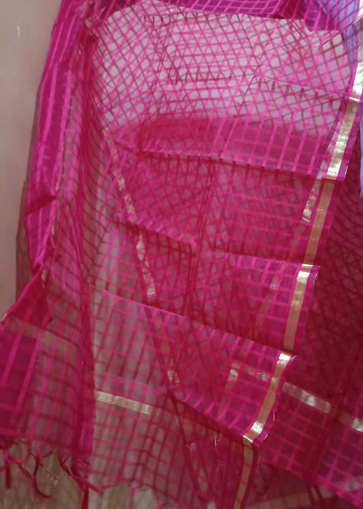 Beautiful Net Dupattas