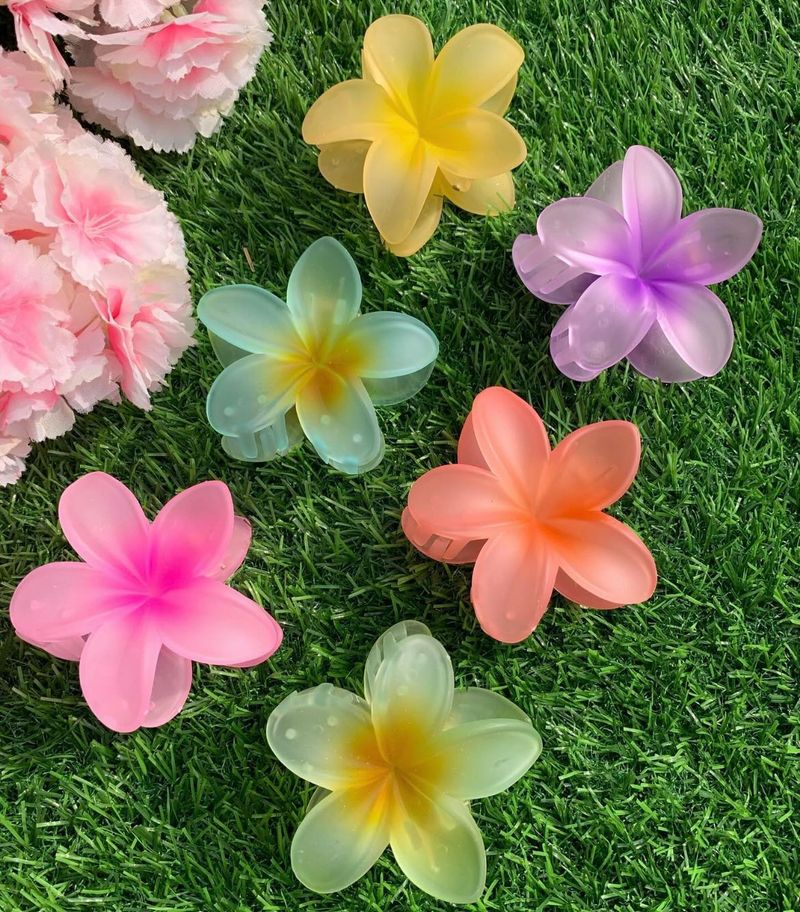 HAIR CLIPS (SET OF 6)