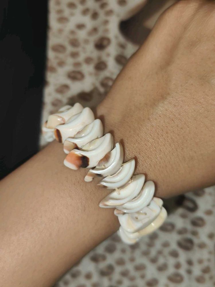 White Beauty Seashell Bracelet