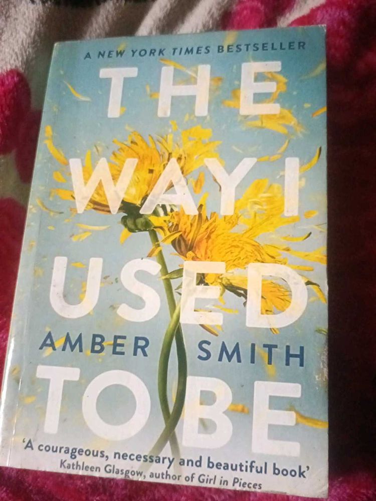 The Way I Used to Be by Amber Smith