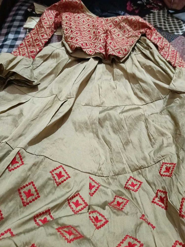 Lehenga Choli Set