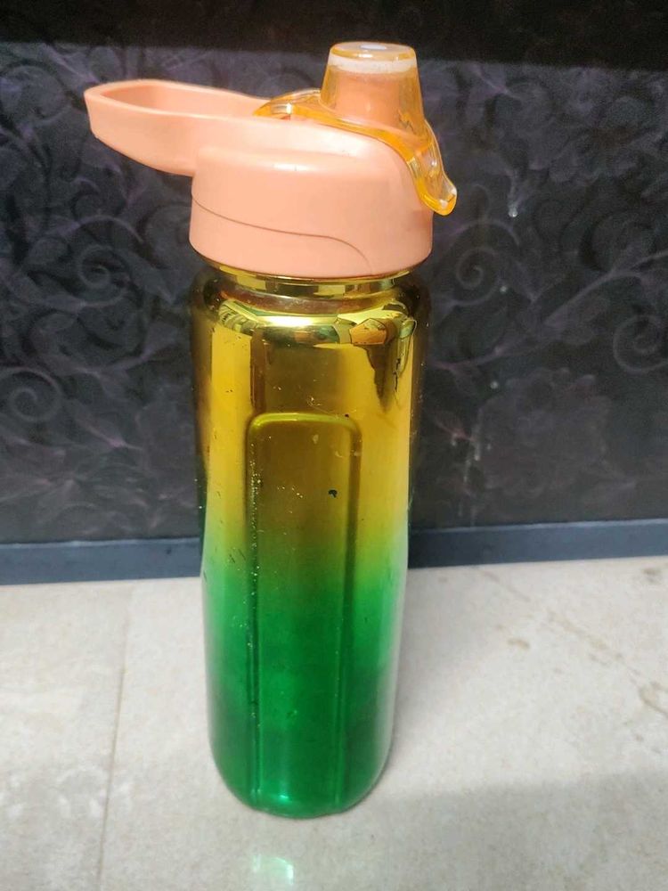 Gradient Water Bottle