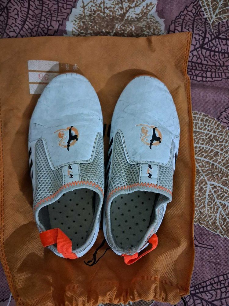 Taekwondo Met Shoes