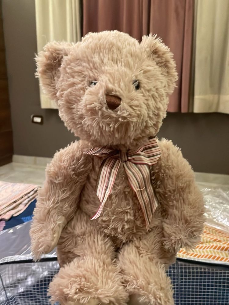 Cute Teddy Bear