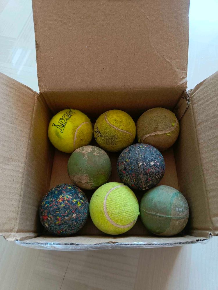 Used Tennis Balls - 8 Pack