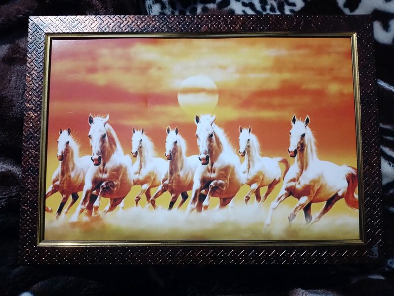 7 Horse Photo Frame