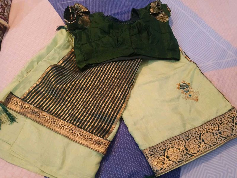 New Green Saree With Stylish Blouse