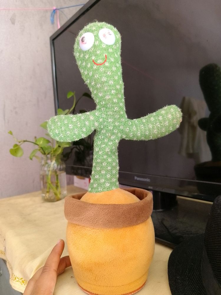 Speaking Catcus For Babies