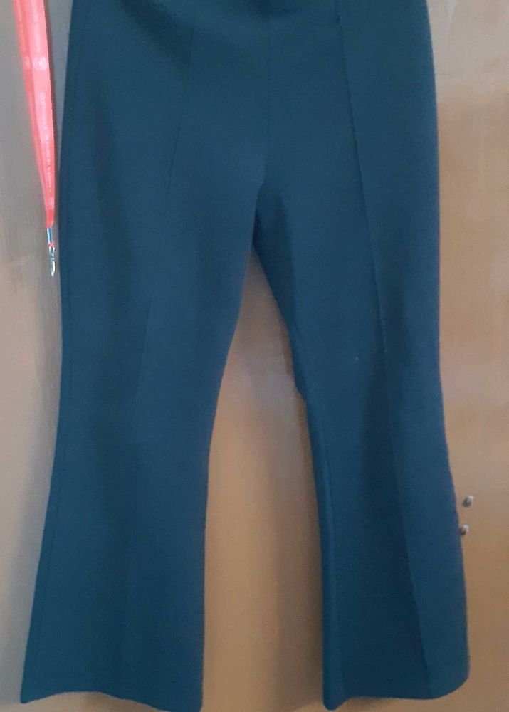 Plazo pant