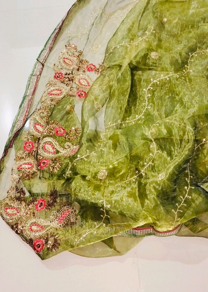 Parrot 🦜 Green 💚