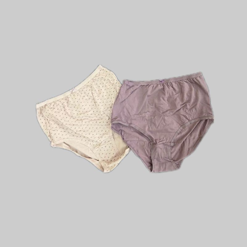 Westside Highwaist Underwear