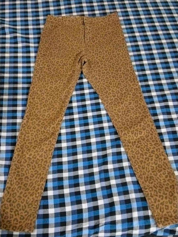 Animal Print Pants