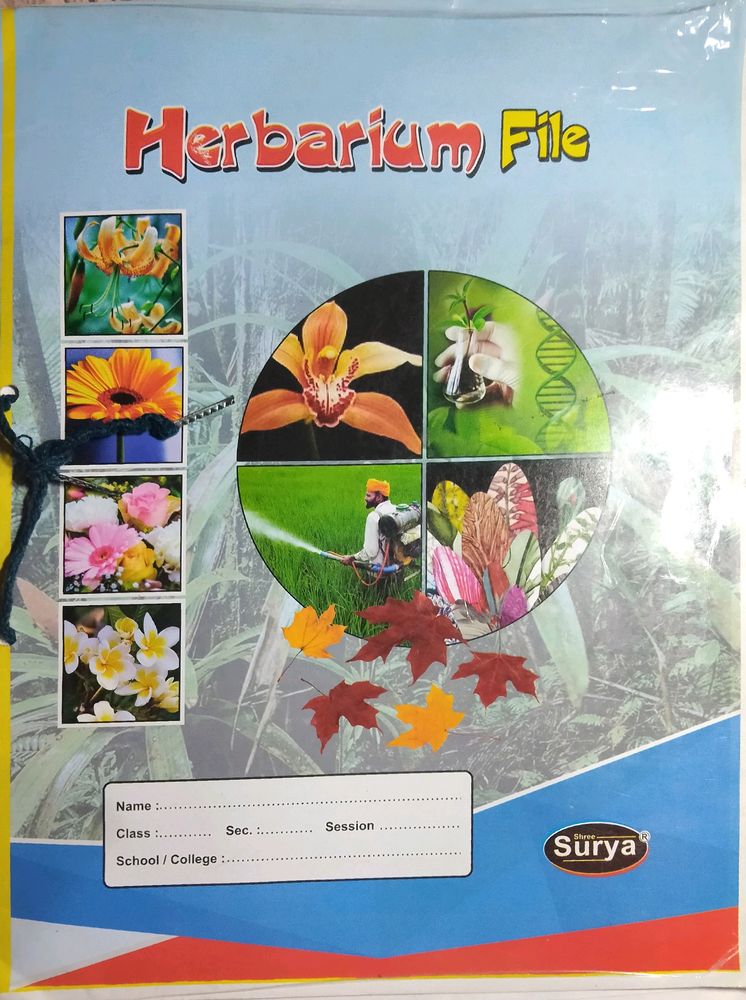 Herbarium Practical File