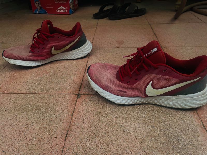 Nike Revolution Running Shoes