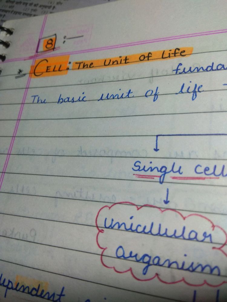 Biology Neat Handwritten Notes
