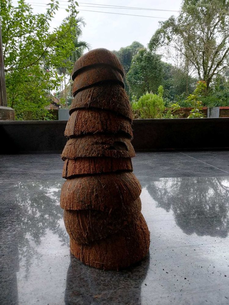 Pure Natural Coconut Shell