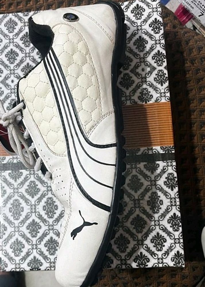 Puma Copy Sports Shoes