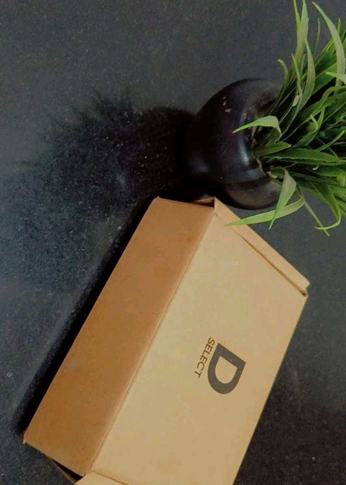 Pair Of Beautiful Hair Rubber Bands
