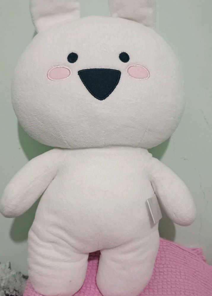Teddy