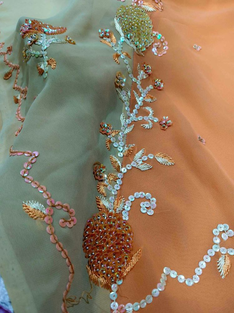 multi colour heavy handwork saree