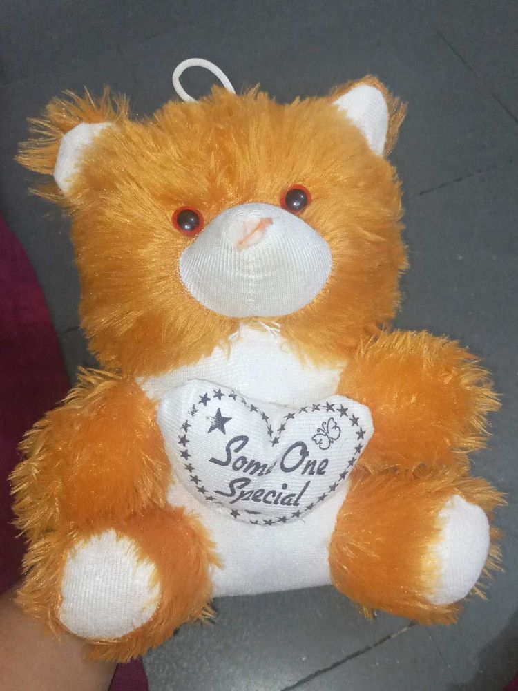 Teddy  Bear 🐻