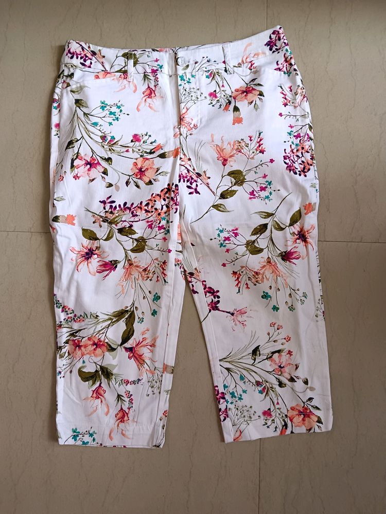 Hot Pant