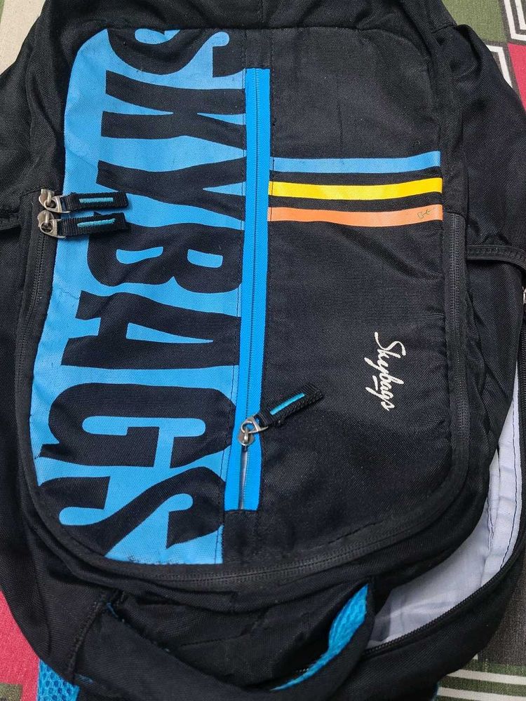 Skybags Backpack