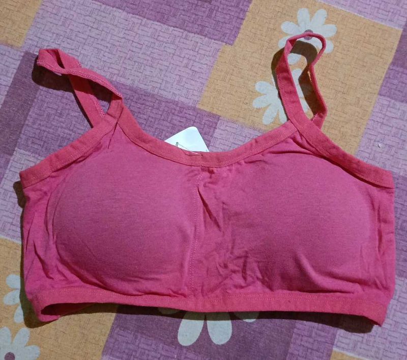 Rose Pink Bra