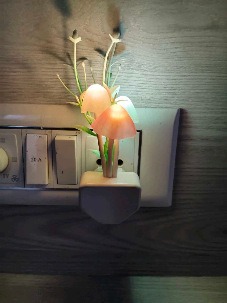 LED Night Light Lamp