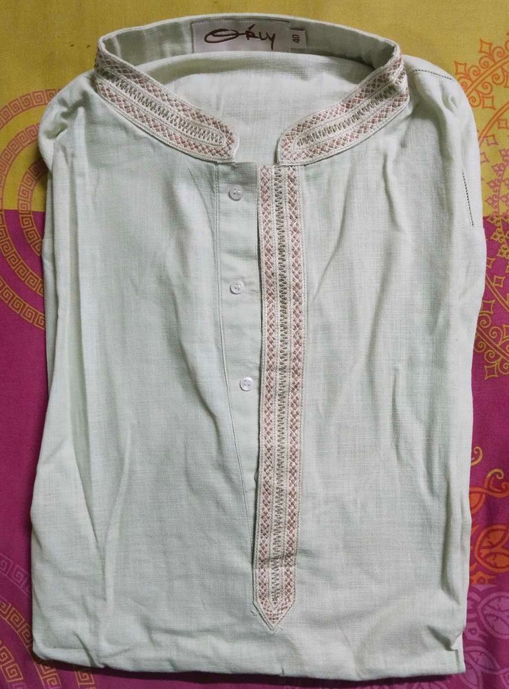 Light Green Ethnic Cotton Kurta for Men