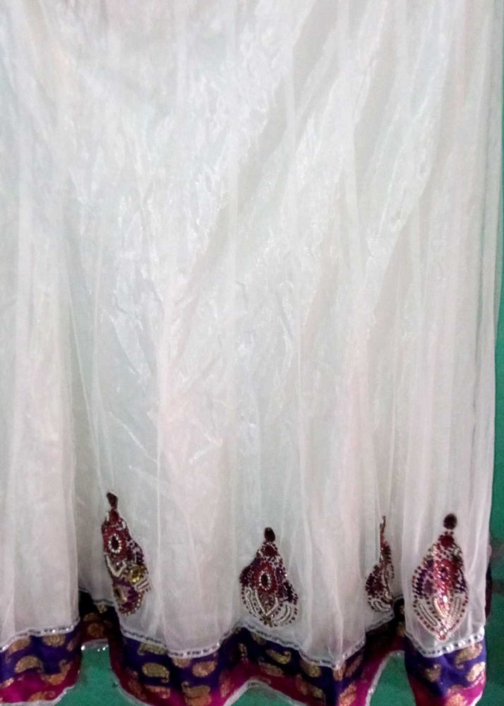 Elegant Ethnic Skirt