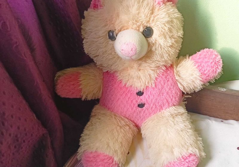 Cute Pink &amp; Cream Teddy Bear