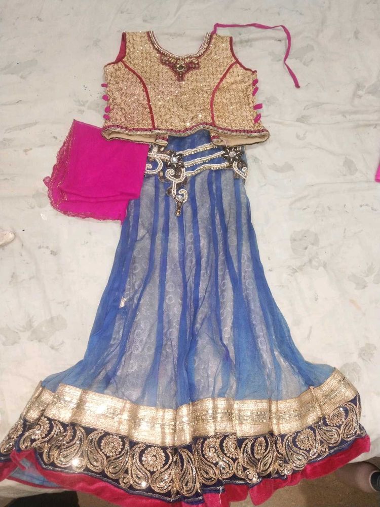 Embroidered Lehenga Choli