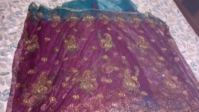 Net Saree
