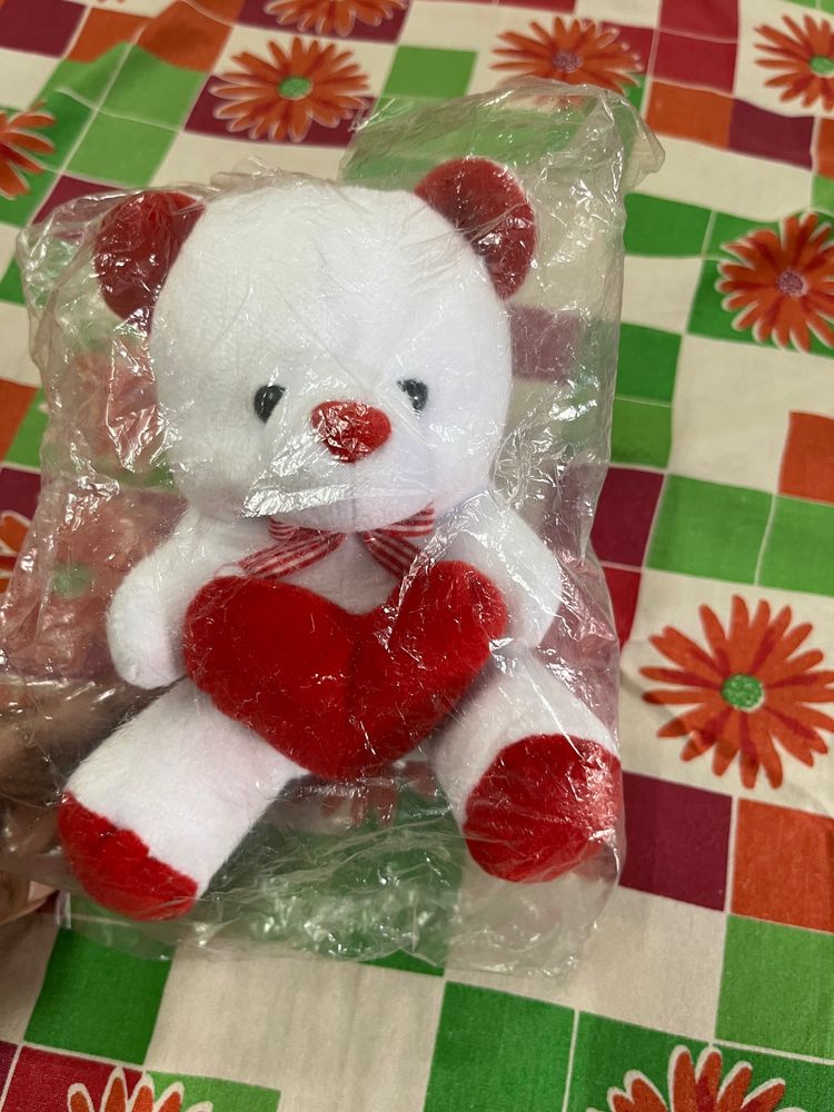 Red And White Cute Little Teddy