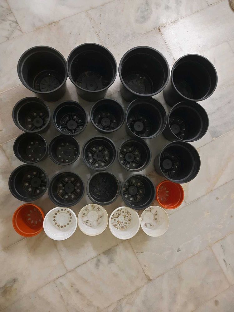 Pack of 24 Plant Pots with free water bottle.