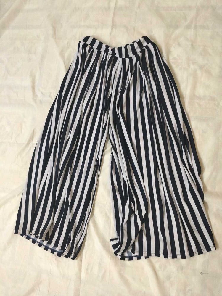Elastic Type Plazzo For Sale