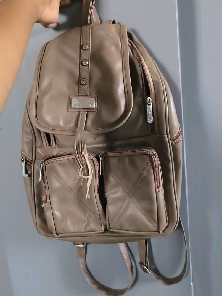 Mauve Nude Bag Pack For Minimum Price....