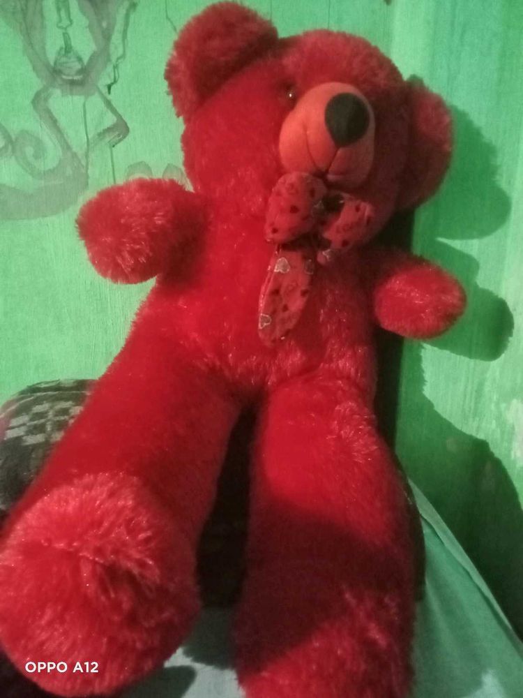 Red Plush Teddy Bear