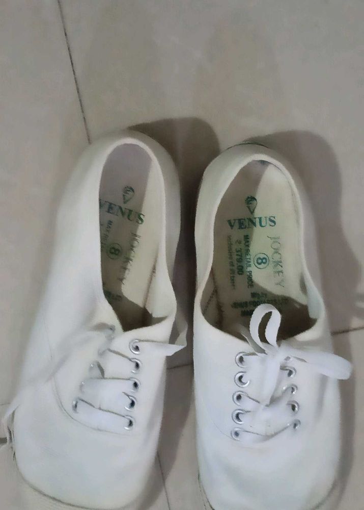 Venus Jockey Canvas Shoes - Size 8