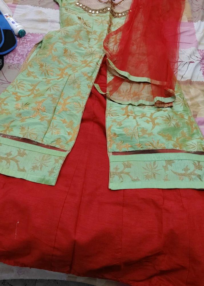 Gorgeous Indian Salwar Kameez Suit
