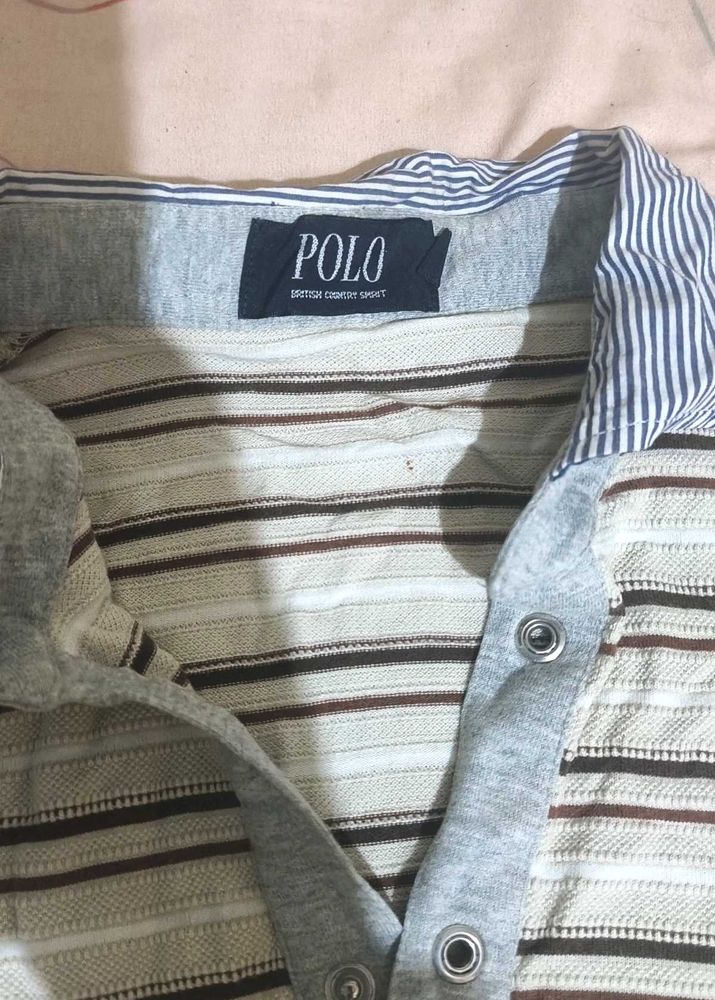 branded polo tshirt for boys